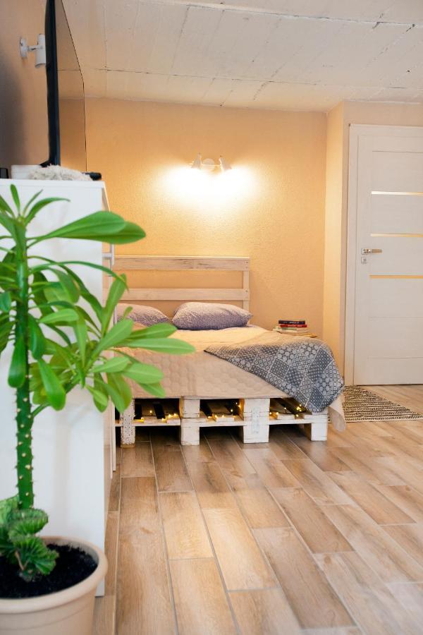 Apartment In Garage With Free Parking Kaunas Exteriér fotografie