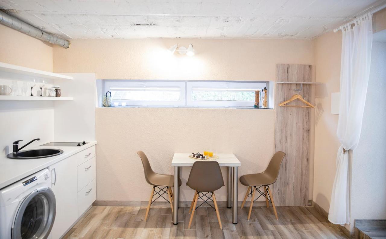 Apartment In Garage With Free Parking Kaunas Exteriér fotografie